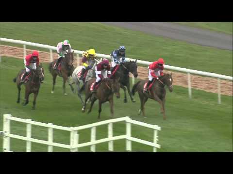 2014 Betfred Bowl Chase - Silviniaco Conti - Racing TV