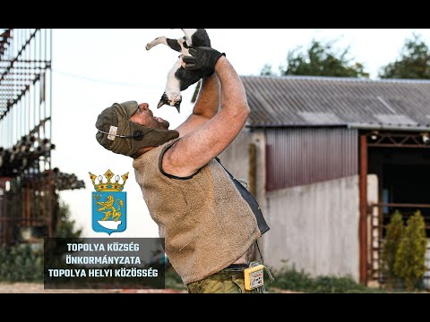 Vajdasági Parasztolimpia  2022