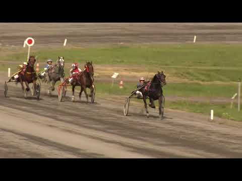 4. dostih - Středoevropská cena Moravskoslezského kraje (1. r.) - klusáci Bravantice 24. 8. 2019