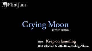 Crying Moon (2014 Re-recording version) / MintJam