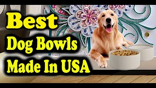 Best Dog Bowls Made In USA