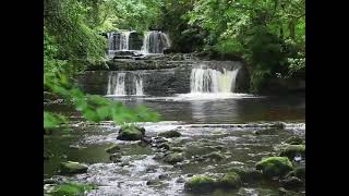 The Sandpipers Guantanamera Lyrics_ agrimm98