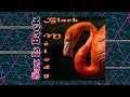 Lenny White - Ho-Cake + Pick Pocket