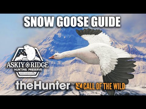 Snow Goose Guide At Askiy Ridge - theHunter Call Of The Wild (Early Access)