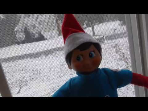 Elfie's Morning Routine