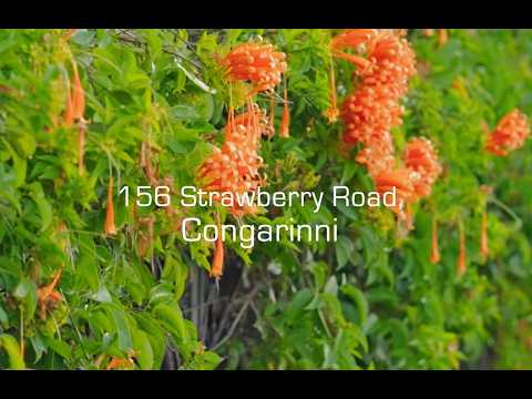 156 Strawberry Rd, Congarinni, NSW 2447, 4 slaapkamers, 4 badkamers, House