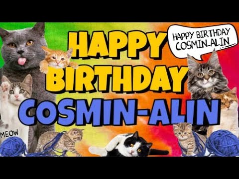 Happy Birthday Cosmin-Alin! Crazy Cats Say Happy Birthday Cosmin-Alin (Very Funny)