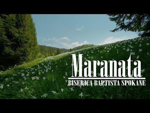 Duminică Dimineață 11/30/2025