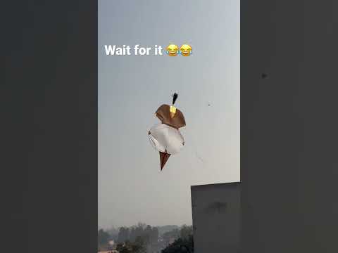 Tukkal Kite Flying 🪁 #amritsar #ludhiana #newzealand #kiteflying #kites #shorts #youtubetrend
