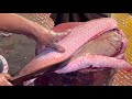 Amazing Fish Cutting Skills | Rohu Fish Cutting With Huge Eggs In Fish Market