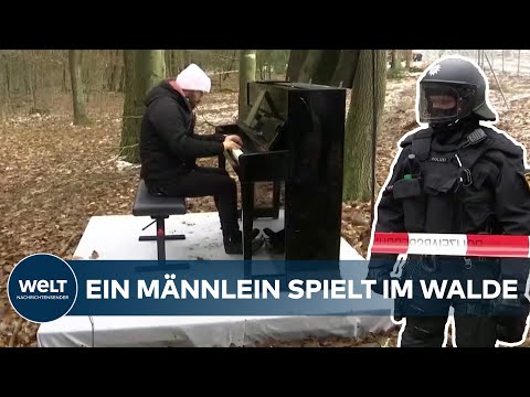 KONZERT für AKTIVISTEN: Pianist Igor Levit spielt im Dannenröder Forst