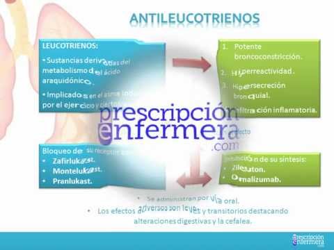 Topic 31. Bronchodilators.