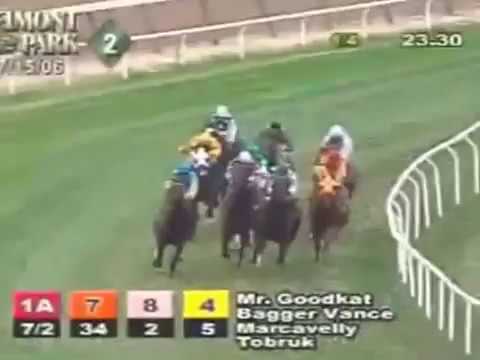 Marcavelly MSW Belmont - Kahraman Stud