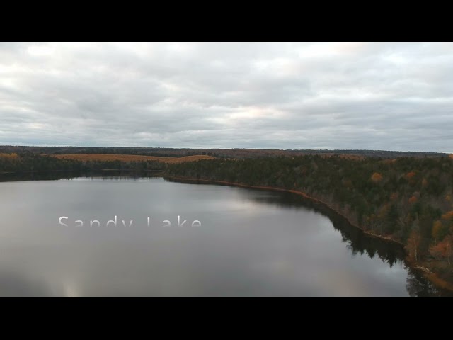 Trail Video Preview