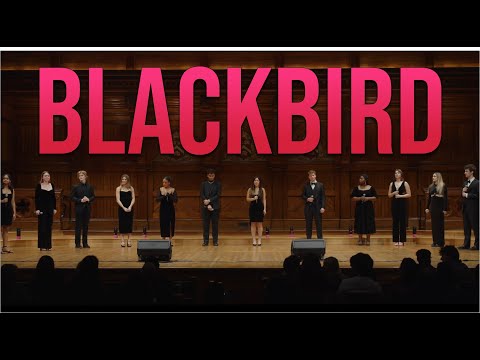 BLACKBIRD | The Harvard Opportunes (The Beatles Cover)