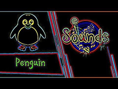 Eye Care Song "Sounds - Penguin | Toyor Baby English"