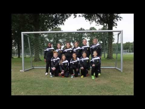 Baardwijk MO13-1