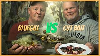 Live Bait vs Cut Bait for Flatheads… The Results SURPRISED Me