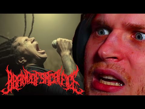 I AM DISGUSTED | Brand of Sacrifice - EXODUS | Reaction