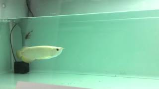 IMG 4263
