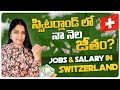 Switzerland Software Job ఎలా వచ్చింది Switzerland Jobs Telugu Vlogs