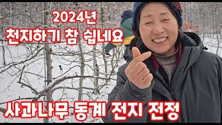 사과나무 전지 전정 가지치기 홍로 초간단 전지 하는 방법 청정괴산 자연울림 자연이 미래가되는그곳 가을농원 […