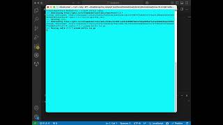 Installing redis-server on mac #realapps