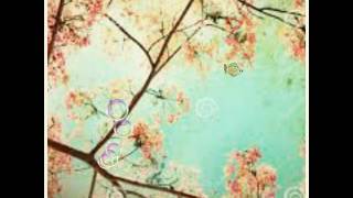 Reik - vámonos lejos 2016