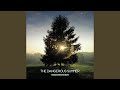 Surfaced (Acoustic)
