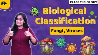 Biological Classification Class 11 Biology NCERT Chapter 2 | CBSE | Kingdom Fungi, Viruses, Viriods