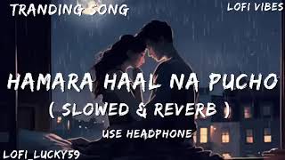 Download lagu HAMARA HAAL NA PUCHO (SLOWED & REVERB) mp3 Download lagu HAMARA HAAL NA PUCHO (SLOWED & REVERB) mp3