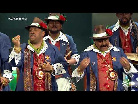 CHIRIGOTA ¡Qué caló! (Pasodoble a la libertad de la mujer gitana) | FINAL COAC 2018