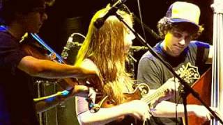 Shady Grove -- The David Grisman Bluegrass Experience -- Old Settler's '08