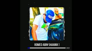 Download lagu Wakar Abin sha'awa   by sani namuduka mp3