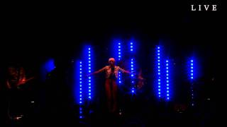 Yksinäisen keijun tarina - Chisu - Levi (Live)