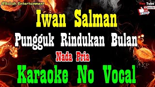 Download lagu Iwan Salman - Pungguk Rindukan Bulan Karaoke [ Nada Pria ] Babah Entertainment mp3