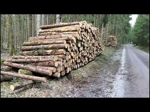 Thuringian Forest - Hiking tour in the Ilmenau region, Part 1/2