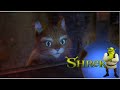 Shrek 2 Fabryka ELiksirów 4 10 PL RECENZJA