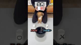 愛犬に食材選ばせて炊飯飯作ったらまさかの料理ができたwww