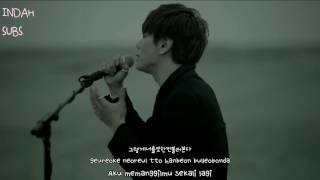 Download lagu Park Hyo Shin - Wild Flower [INDO SUB] mp3