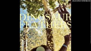 Dinosaur Feathers - Beatcha