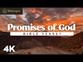 The Promises Of God Bible Verses For Rest Reflection And Reassurance