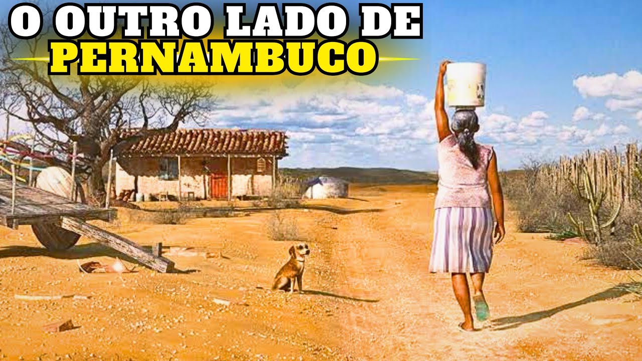 O QUE NINGUÉM te CONTA de PERNAMBUCO