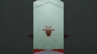 Download lagu I need your love 3 tiktok by gio mp3 Download lagu I need your love 3 tiktok by gio mp3