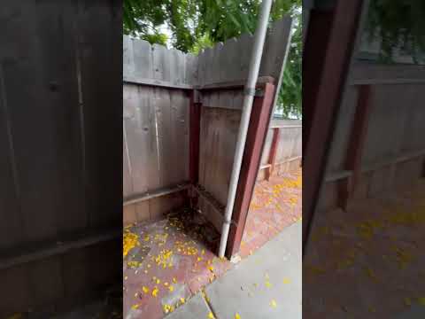 5057 Lotus St. - Video 2 of 2
