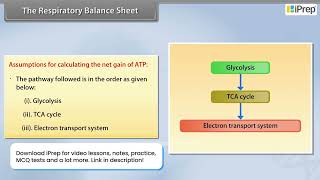 The Respiratory Balance Sheet | Respiration in Plants | Biology | Class 11th | iPrep