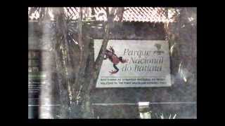 preview picture of video 'Parque Nacional do Itatiaia - RJ'