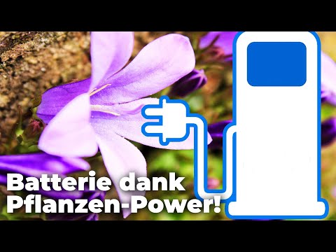 Bahnbrechende Technologie bringt umweltfreundliche Batterie - Clixoom nature