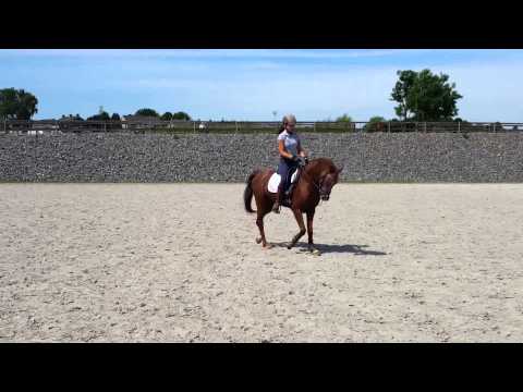Equine park hulsberg
