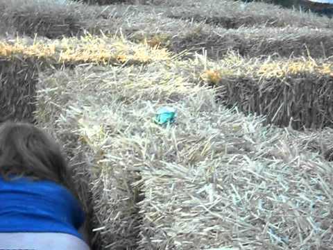 Destiny VS Child Hay Bale Maze.
